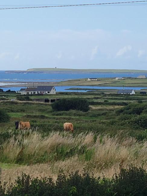 Coastal View Cottage Mullagh  Kültér fotó